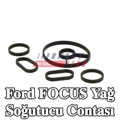 FAST Yağ soğutucu contası — 2012 Ford Focus