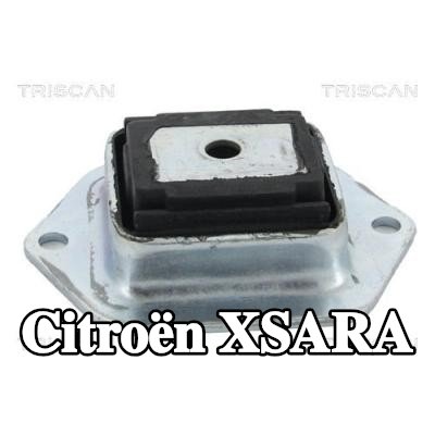 TRISCAN حامل، جسم المحور — Citroën Xsara