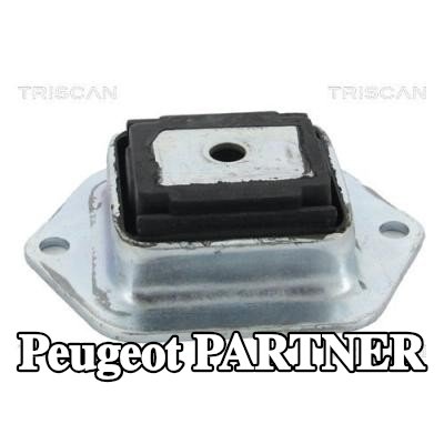 TRISCAN حامل، جسم المحور — Peugeot Partner
