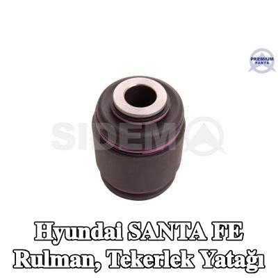 SIDEM Rulman, tekerlek yatağı muhafazası Montajı için özel aletler gerektirir — Hyundai Santa Fe