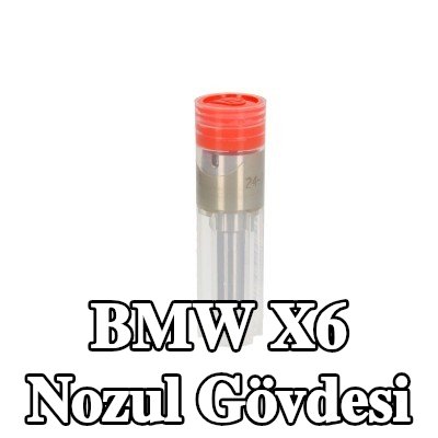 Wuzetem Nozul Gövdesi — 2012 BMW X6