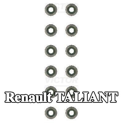 REINZ مجموعة سدادات صمامات الصمامات — Renault Taliant