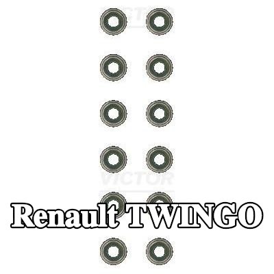 REINZ مجموعة سدادات صمامات الصمامات — Renault Twingo