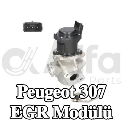 Alfa e-Parts Conta/sızdırmazlık elemanlı EGR Modülü — Peugeot 307
