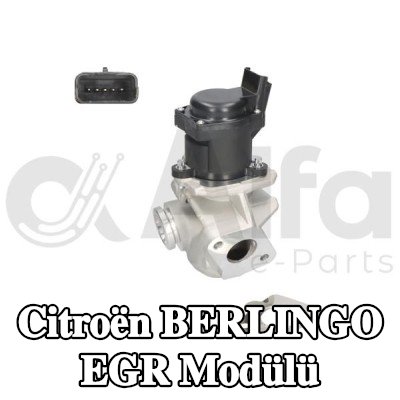 Alfa e-Parts Conta/sızdırmazlık elemanlı EGR Modülü — 2005 Citroën Berlingo