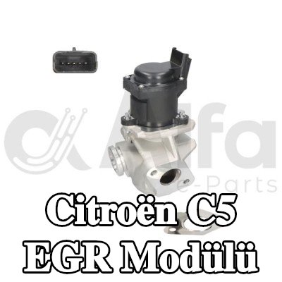 Alfa e-Parts Conta/sızdırmazlık elemanlı EGR Modülü — 2004 Citroën C5