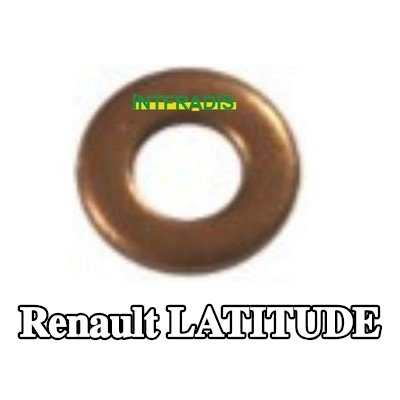 INTFRADIS مانع تسرب، حامل حاقن الوقود — Renault Latitude