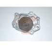 IAP QUALITY PARTS Yağ Pompası — Nissan Trade (1)