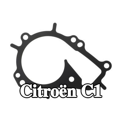 PAYEN حشية، مضخة المياه — Citroën C1