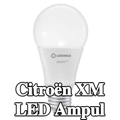 OSRAM LED ampul — Citroën Xm