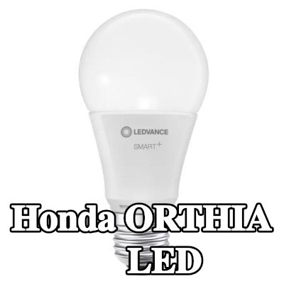 OSRAM لمبة LED — Honda Orthia