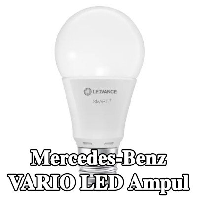 OSRAM LED ampul — Mercedes-Benz Vario