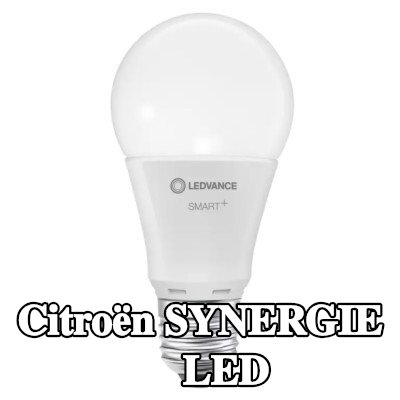 OSRAM لمبة LED — Citroën Synergie