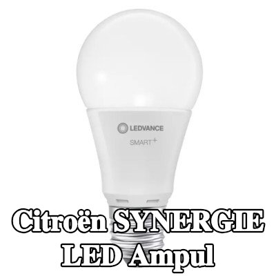 OSRAM LED ampul — Citroën Synergie