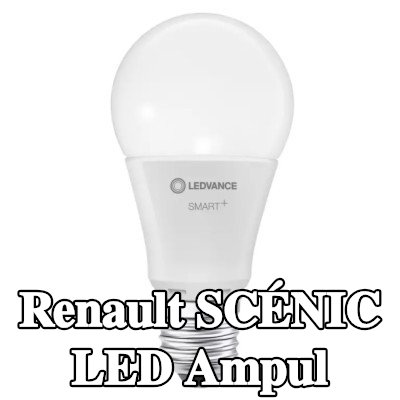 OSRAM LED ampul — Renault Scénic