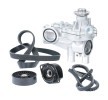 RIDEX Su Pompası + V-Kanalı Kayış Kiti — SEAT Inca (2)