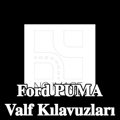 TRW Engine Component Egzoz Tarafı Valf Kılavuzları — 2000 Ford Puma
