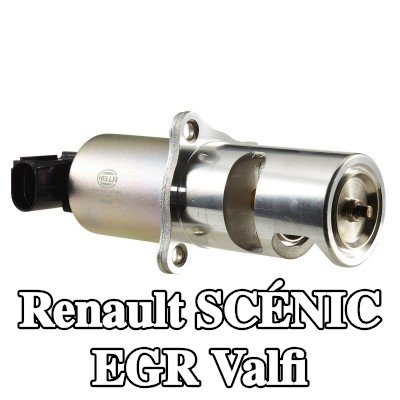 HELLA Contalı/sızdırmazlık elemanlı EGR valfi — 2002 Renault Scénic