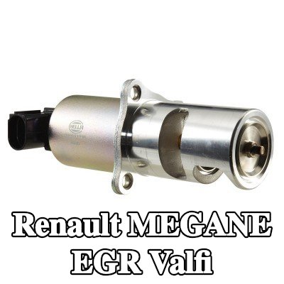 HELLA Contalı/sızdırmazlık elemanlı EGR valfi — 2000 Renault Megane