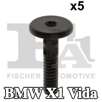 FA1 Vida — 2009 BMW X1
