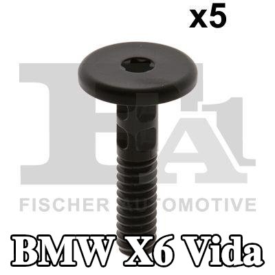 FA1 Vida — 2011 BMW X6
