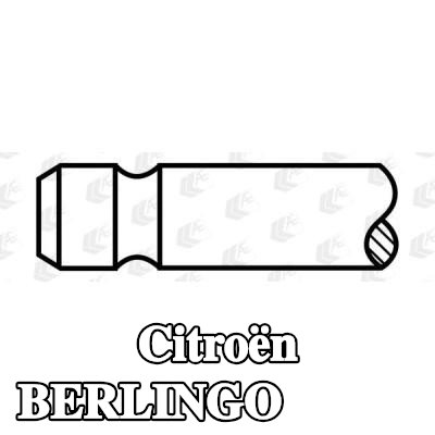 AE صمام السحب - طرف ساق الصمام مقوى — Citroën Berlingo