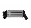 MAHLE Intercooler — 2002 Peugeot 307 (1)