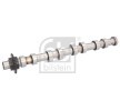 FEBI BILSTEIN Egzoz tarafı eksantrik mili — Citroën Xsara (3)