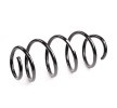 SACHS Helezon yay — Volkswagen Jetta (2)