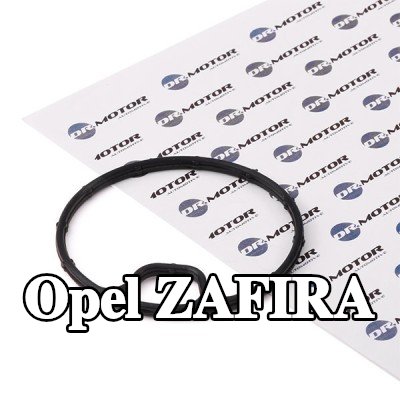 DR.MOTOR AUTOMOTIVE حشية غطاء فلتر الزيت — 2000 Opel Zafira