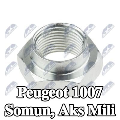 NTY Somun, aks mili — Peugeot 1007