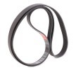 GATES V-Ribbed Kayış Seti Micro-V Kiti, Micro-V® Stretch Fit™ — Nissan Interstar (5)
