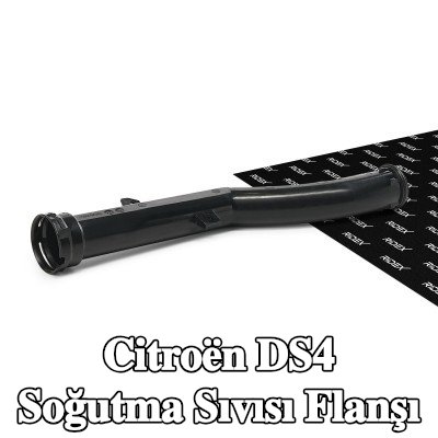 RIDEX Conta/sızdırmazlık elemanı ile birlikte soğutma suyu flanşı — Citroën Ds4