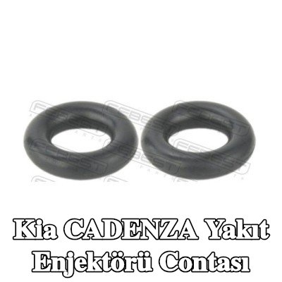 FEBEST Yakıt enjektörü contası — Kia Cadenza