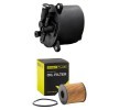 RIDEX PLUS Filtre kiti — Citroën C6 (1)