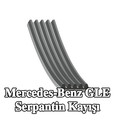 FEBI BILSTEIN Serpantin kayışı 1975mm, Number of ribs: 5 — Mercedes-Benz Gle