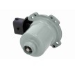 VEMO Şanzıman gövdesindeki şanzıman kontrol modülü (TCM) — Ford Focus (5)