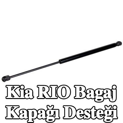 FEBI BILSTEIN Bagaj kapağı amortisörü (Her iki taraf), 492mm — Kia Rio