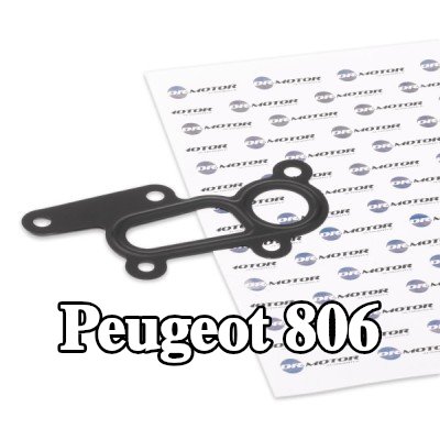 DR.MOTOR AUTOMOTIVE حشية غطاء فلتر الزيت — Peugeot 806