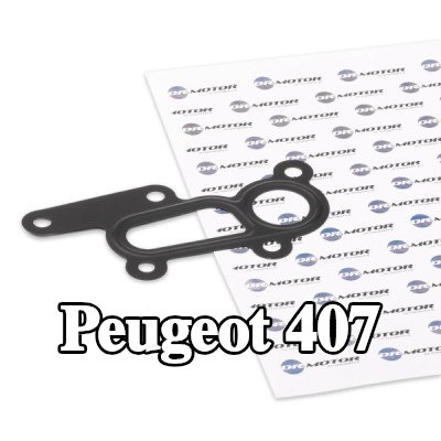 DR.MOTOR AUTOMOTIVE حشية غطاء فلتر الزيت — Peugeot 407