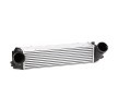 RIDEX Intercooler — BMW Z4 (2)