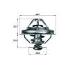 MAHLE Termostat 80°C, 67mm, 33mm, contalı/sızdırmaz — 2000 Land Rover Range Rover (1)