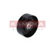 KAMOKA Gergi Kolu, V-oluklu kayış — Ford Scorpio (2)