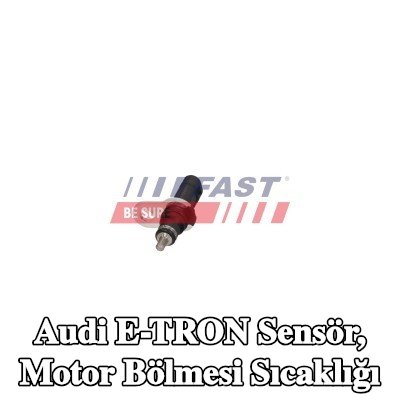 FAST Sensör, motor bölmesi sıcaklığı — Audi E-tron