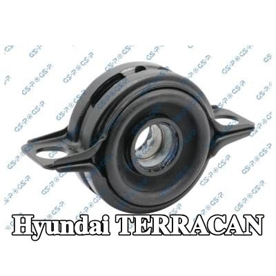 GSP محمل عمود الدوران — Hyundai Terracan