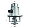 MAHLE Termostat 101°C, contalı/sızdırmaz — BMW X3 (5)
