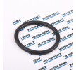 REINZ Karter tapası rondelası FPM (florlu kauçuk), Inner Diameter: 18mm — 2003 Chevrolet Lacetti (1)