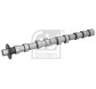 FEBI BILSTEIN Eksantrik Mili — 2012 Ford Kuga (2)