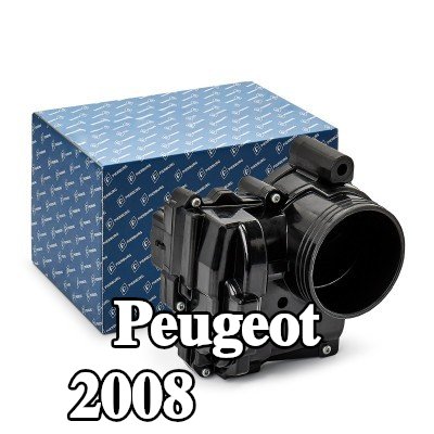 PIERBURG وحدة التحكم في جسم الخانق/يجب تدريب/تحديث البرنامج — Peugeot 2008