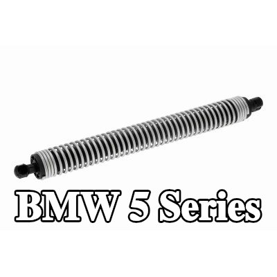 VAICO دعامة الباب الخلفي الخلفية اليسرى — BMW 5 Series
